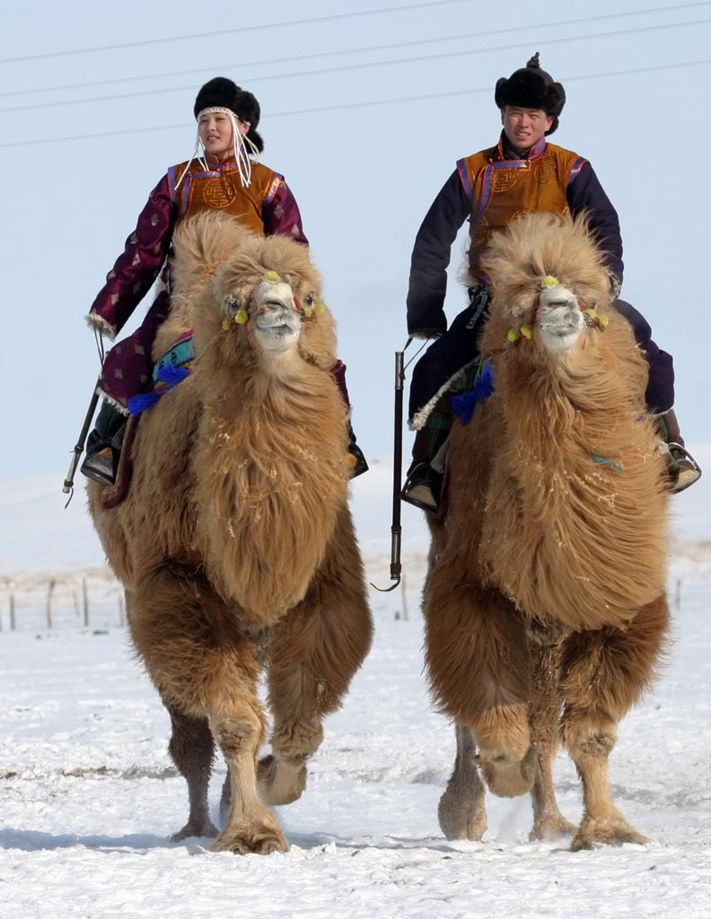 Viaggiare in Mongolia
