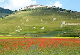 Castelluccio