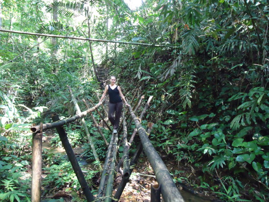 - nella giungla del borneo malese, nonostante dovessi stare senza wifi per 3 giorni, sono riuscita a sopravvivere.