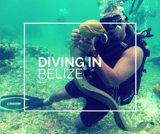 fare immersioni in Belize