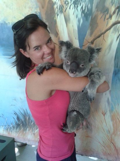 Koala_Working Holiday Visa in Australia
