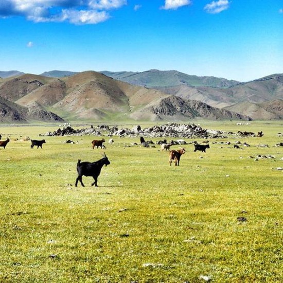 Mongolia da soli