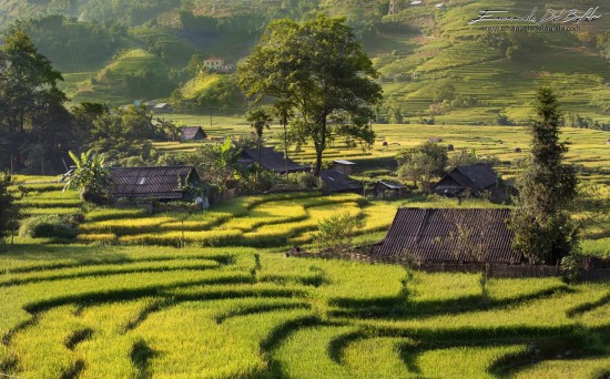 www.emanueledelbufalo.com #vietnam #sapa #village #rice_terrace #lao_chai