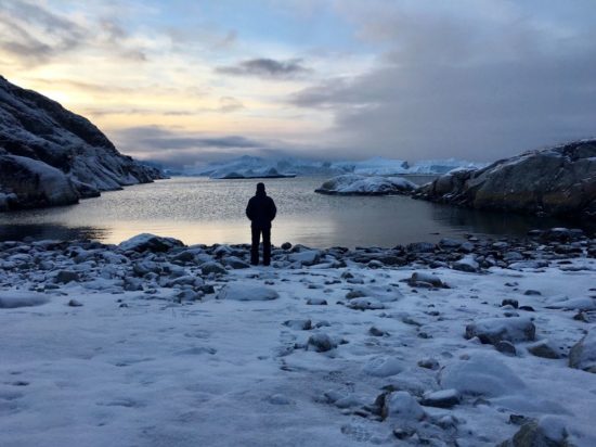 Groenlandia in solitaria