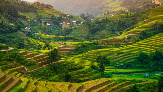Mu Cang Chai - VIETNAM